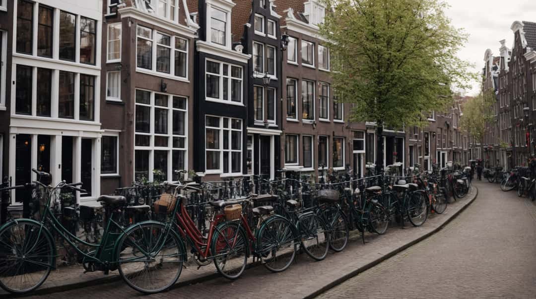 Amsterdam city tour