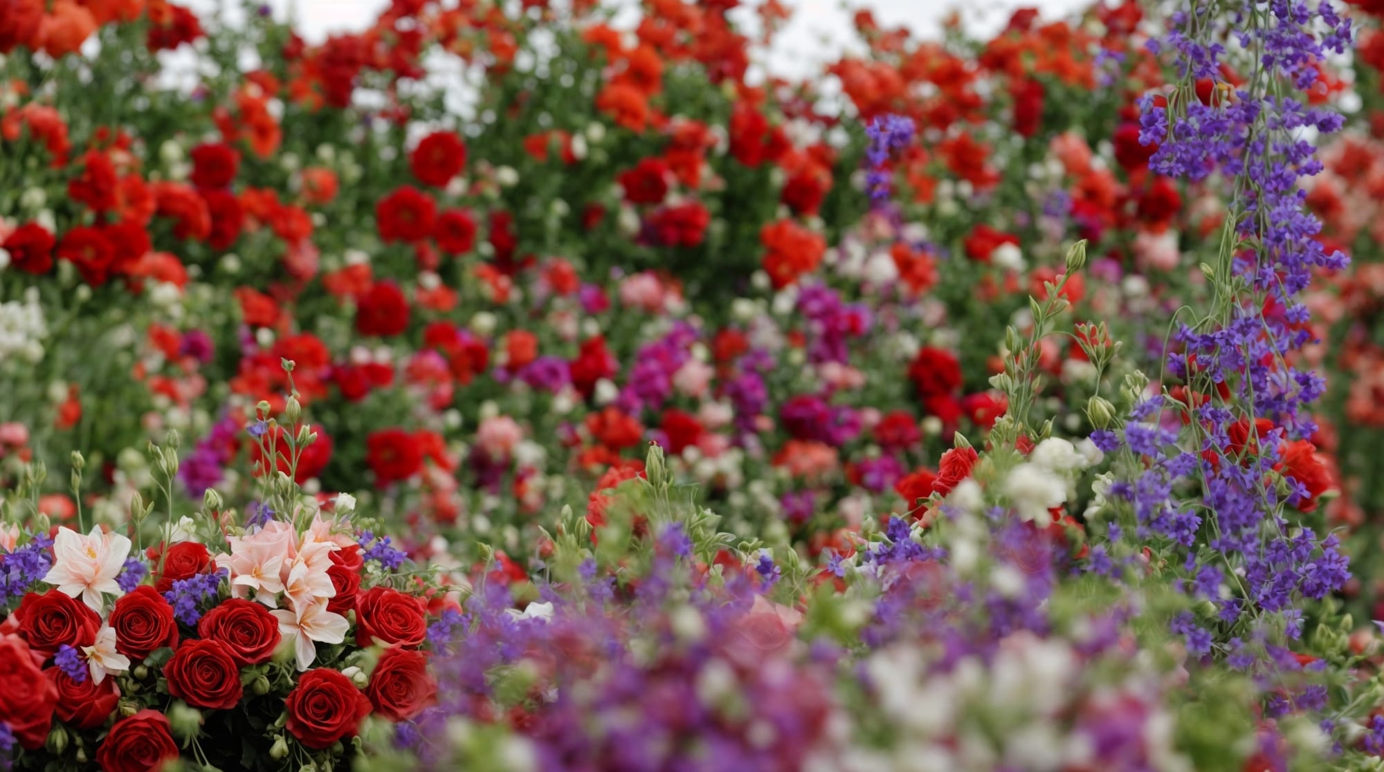 Zundert Flower Parade Participants in the Zundert Flower Parade showcasing elaborate floral displays