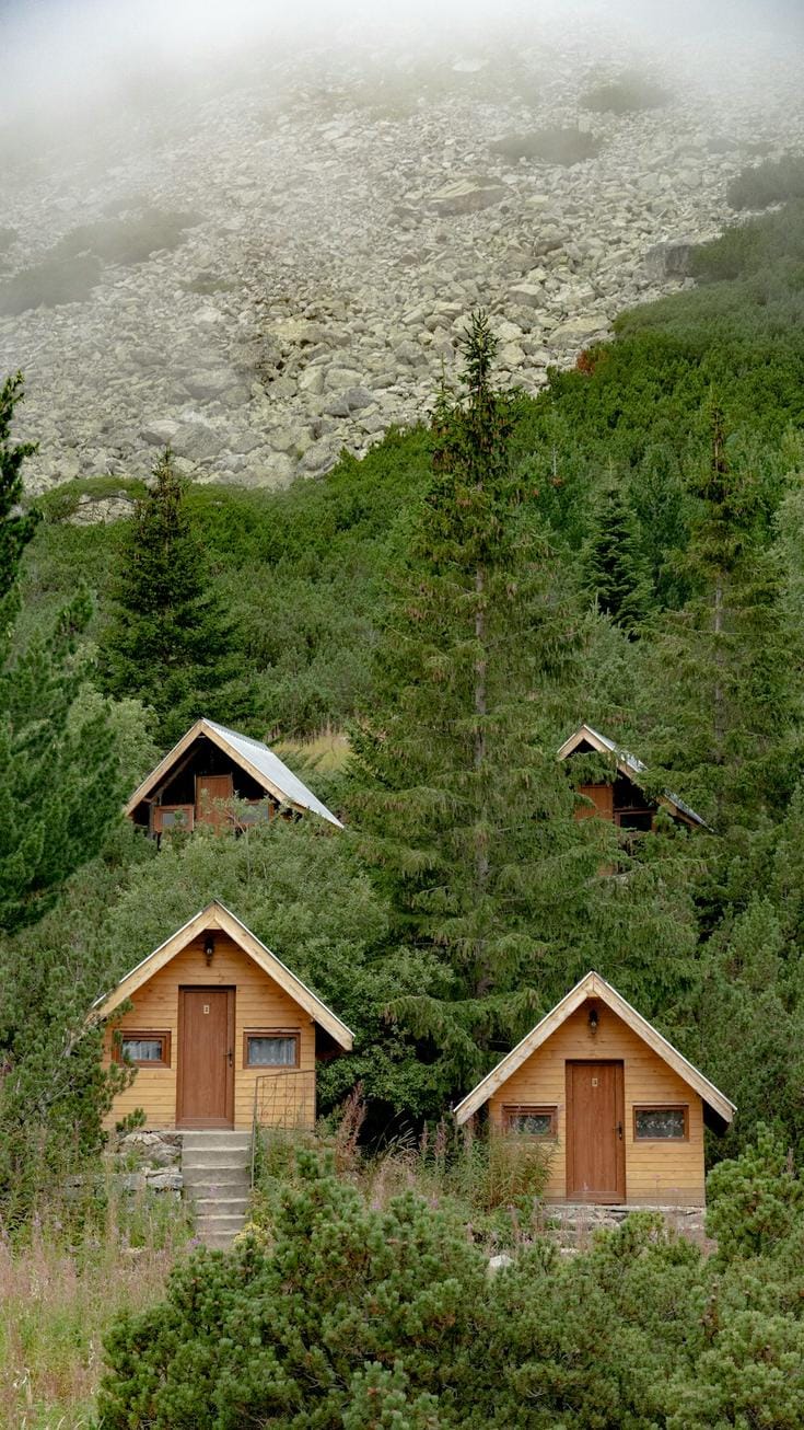 A vibrant image showcasing a variety of accommodation types including a modern hotel, a cozy bed and breakfast, and a unique treehouse stay