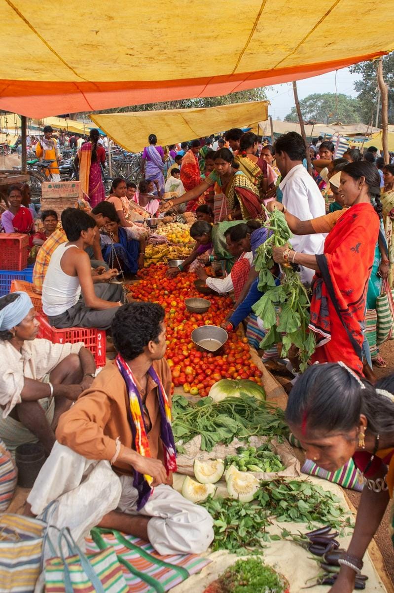 shopping negotiation A tourist engaging in friendly bargaining with a local vendor in a lively outdoor market, capturing the art of negotiation.