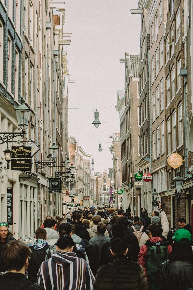A lively street scene depicting cyclists, trams, and pedestrians in downtown Amsterdam on a sunny day.