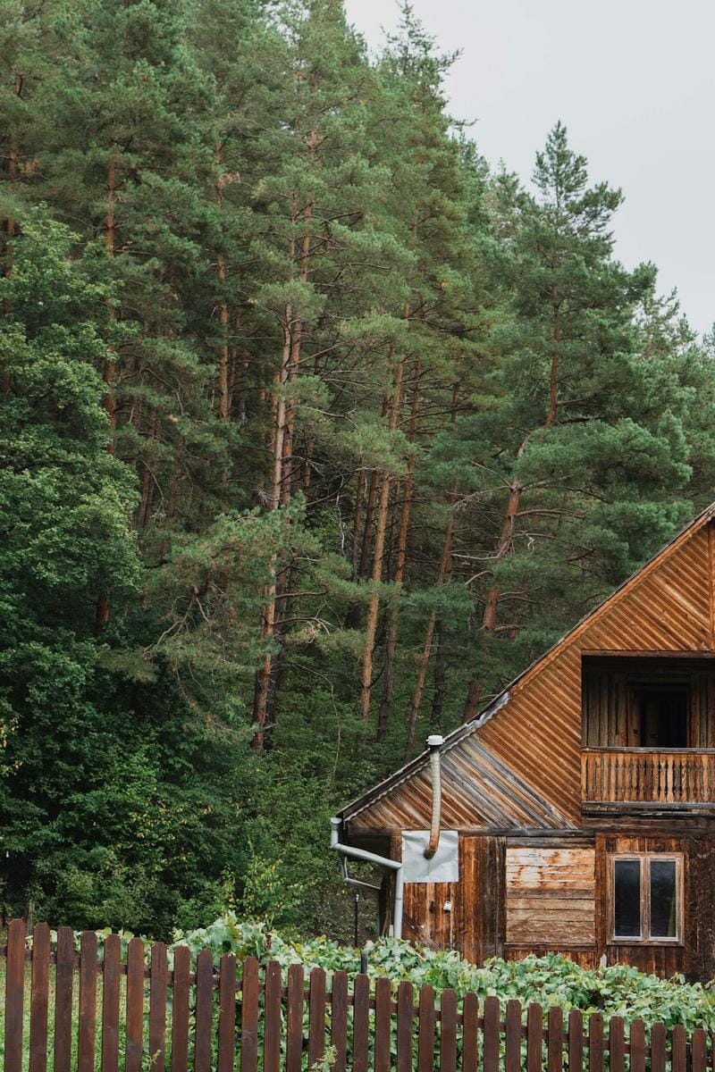 a cozy glamping tent set in a scenic forest, with comfortable furnishings