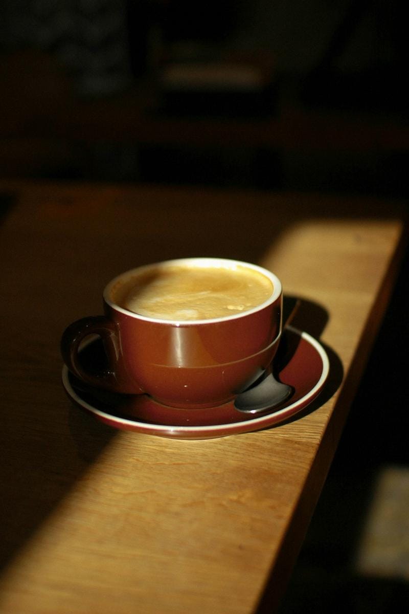 Discovering Amsterdam Through Its Rich Cultural Tapestry and Vibrant Neighborhoods